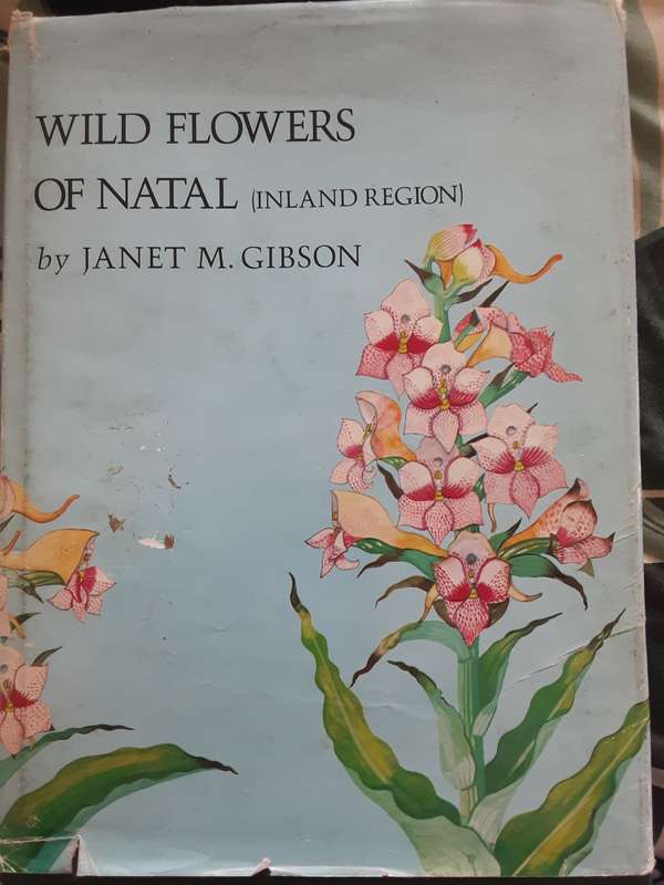 Wild Flowers of Natal ( Inland Region) by Jant M Gibson