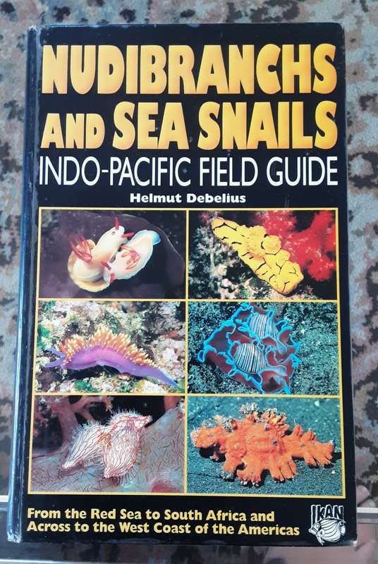 Nudibranchs and Sea Snails Indo-Pacific Field Guide by Helmut Debelius