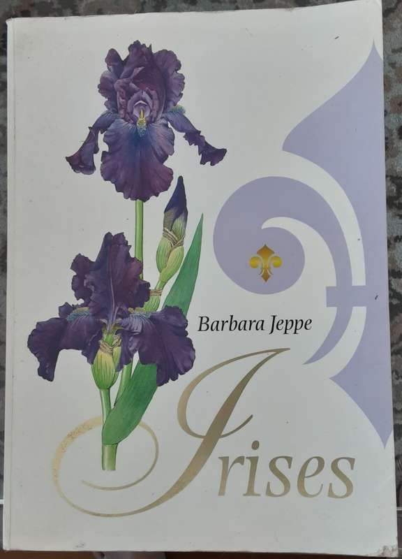 Irises by Barbara Jeppe