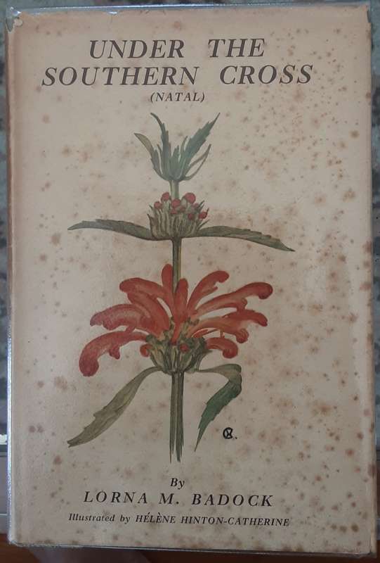 Under The Southern Cross ( Natal ) by Lorna Badock