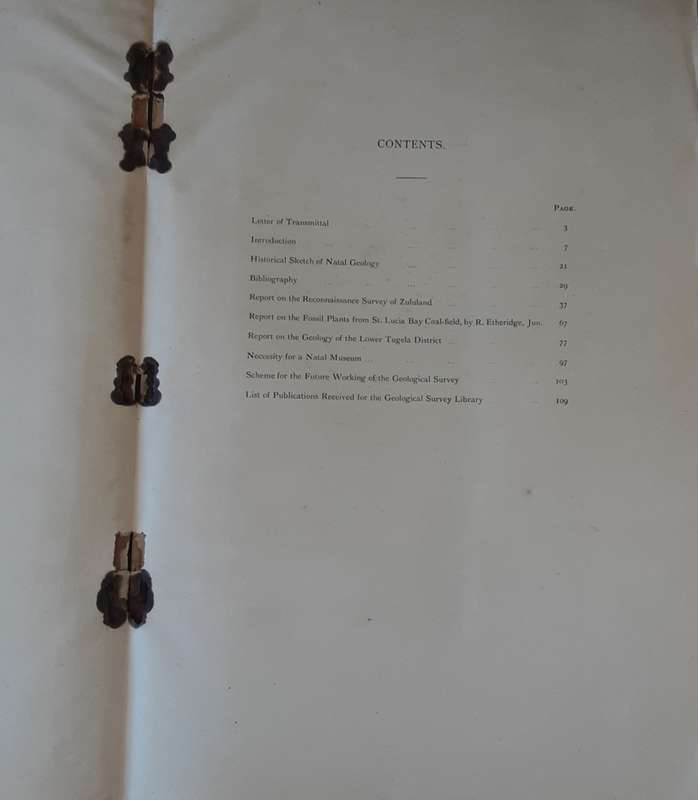 First Report of the Geological Survey of Natal & Zululand by W Anderson 1902