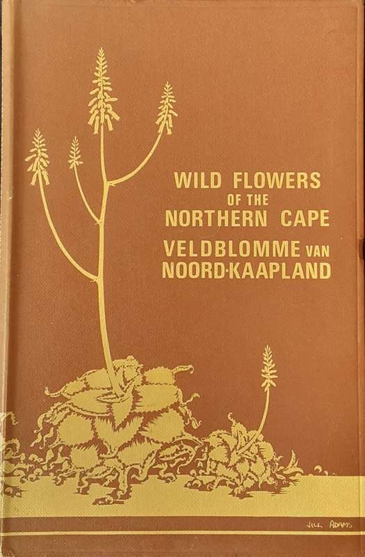 Wild Flowers of the Northern Cape By Jill Adams