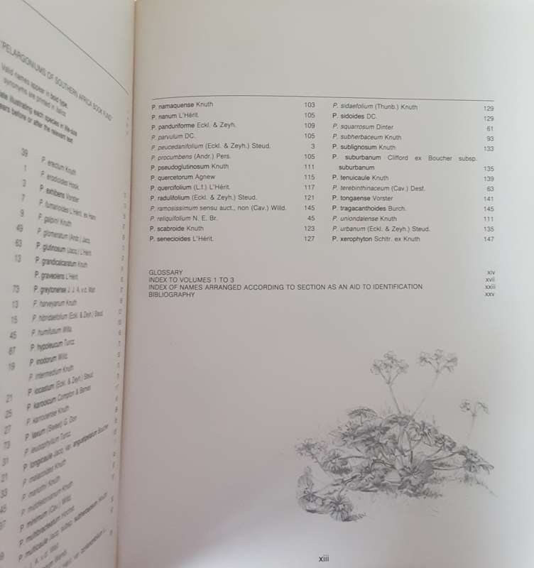 Pelargoniums of Southern Africa Volume 3 by J Van Der Walt & P J Vorster