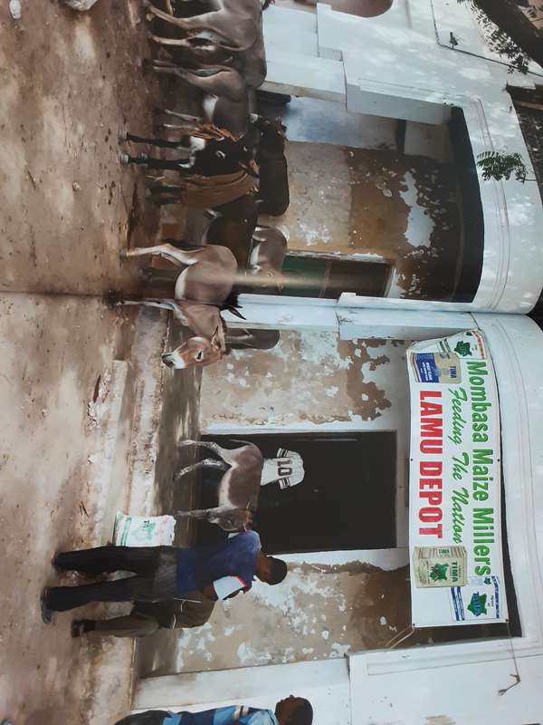 Kenya by Michael Poliza & Friends published TeNeues