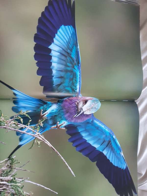 Kenya by Michael Poliza & Friends published TeNeues