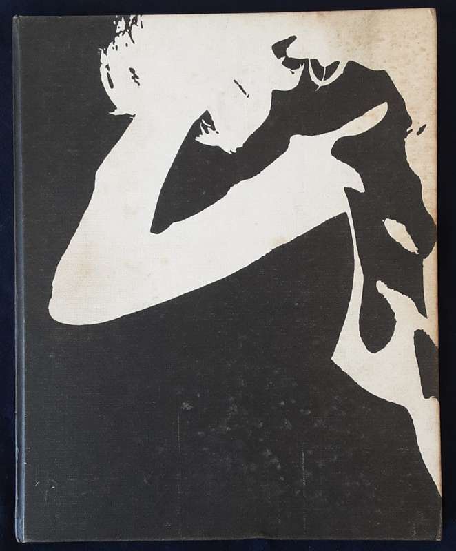The Photographer and his  Model by John Rawlings