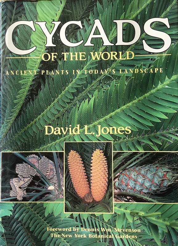 Cycads of the World, Ancient Plants in Today`s Landscape by David L Jones