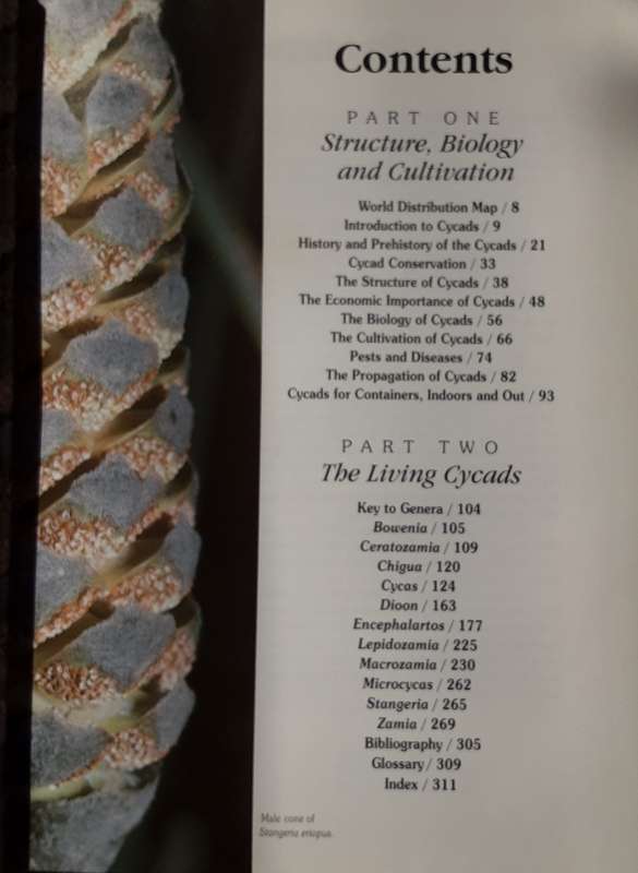 Cycads of the World, Ancient Plants in Today`s Landscape by David L Jones