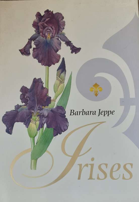 Irises by Barbara Jeppe