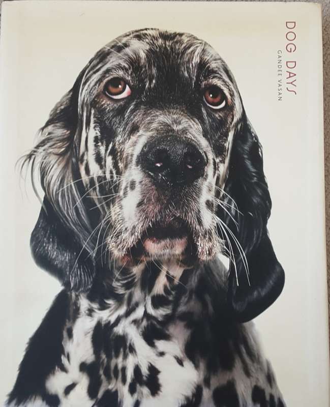 Dog Days by Gandee Vasan