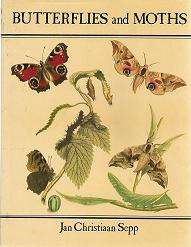 Butterflies and Moths by Christian Sepp text by Dr Stuart McNeill