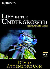 David Attenborough Life in the Undergrowth