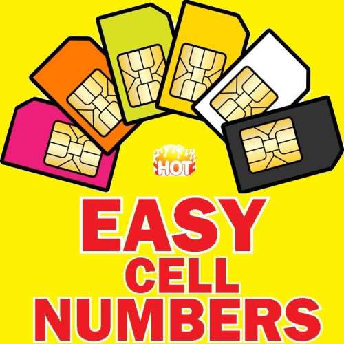 UNIQUE EASY 00000 CELL NUMBER- 068 44 00000 - NO SHIPPING COST!
