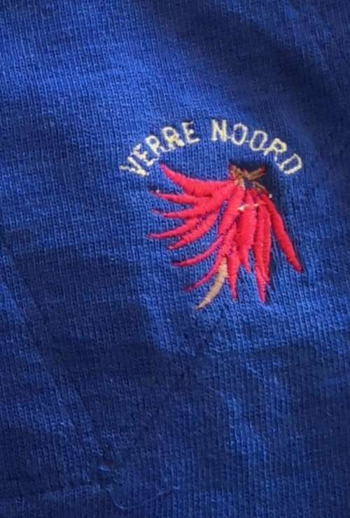 Far North Match Worn Jersey 80's Very nice no color fading RARE!!