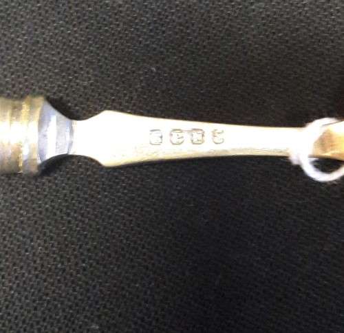 Bone handle Jam spoon