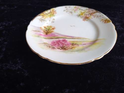 Shelley Side Plate (Old Ireland)