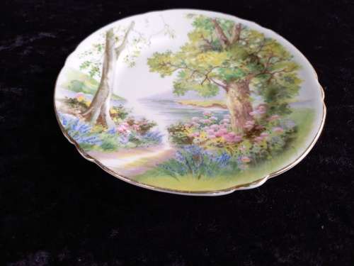 Shelley Side Plate (Woodland)