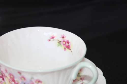 Shelley - Blossom Oleander Shape Tea Trio