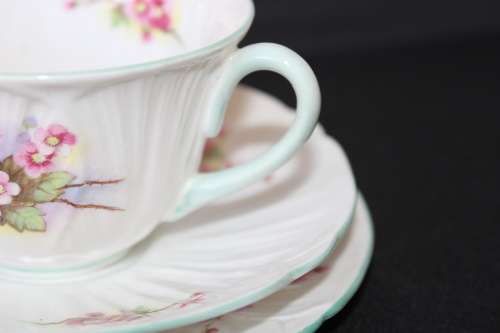 Shelley - Blossom Oleander Shape Tea Trio