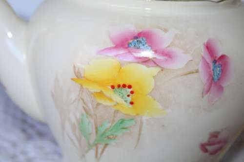 Stunning Shelley Teapot