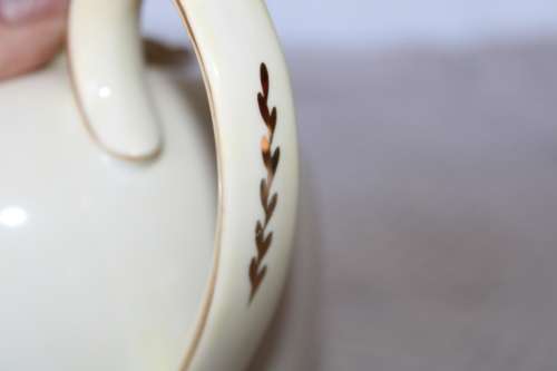 Stunning Shelley Teapot