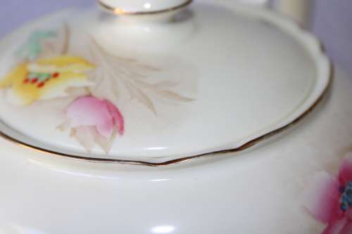 Stunning Shelley Teapot