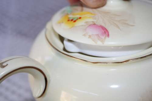 Stunning Shelley Teapot