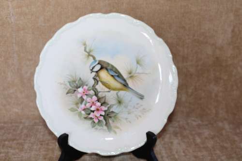 Royal Albert Blue Titmouse - Woodland Birds Collection Decorative Plate