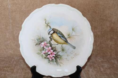Royal Albert Blue Titmouse - Woodland Birds Collection Decorative Plate