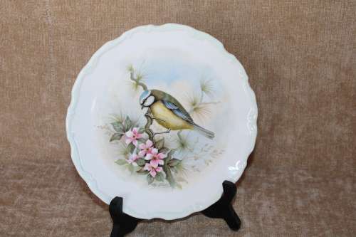 Royal Albert Blue Titmouse - Woodland Birds Collection Decorative Plate