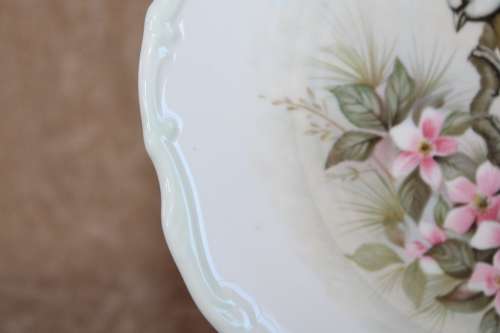 Royal Albert Blue Titmouse - Woodland Birds Collection Decorative Plate