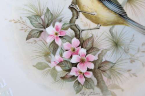 Royal Albert Blue Titmouse - Woodland Birds Collection Decorative Plate