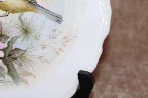 Royal Albert Blue Titmouse - Woodland Birds Collection Decorative Plate