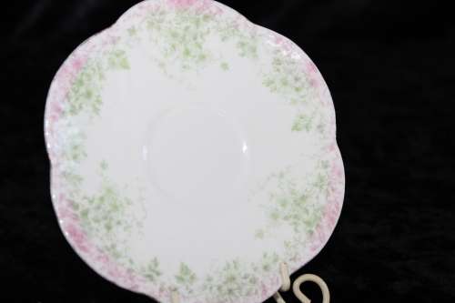 Stunning Wileman Late Foley Saucer (B)