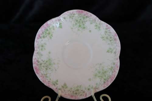 Stunning Wileman Late Foley Saucer (B)