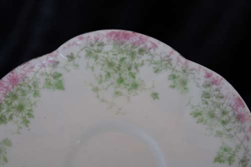Stunning Wileman Late Foley Saucer (B)