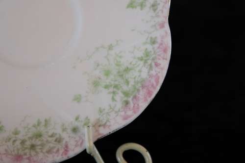 Stunning Wileman Late Foley Saucer (B)