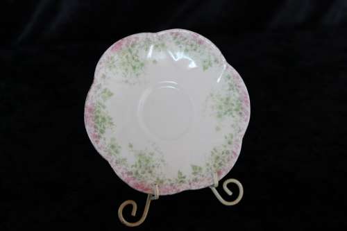 Stunning Wileman Late Foley Saucer (B)