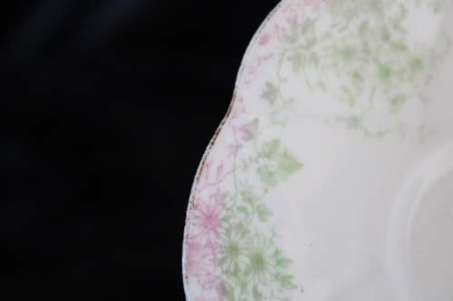 Stunning Wileman Late Foley Saucer (B)