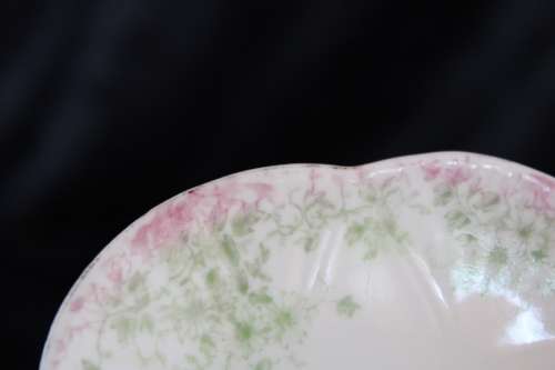 Stunning Wileman Late Foley Saucer (B)