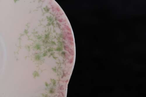 Stunning Wileman Late Foley Saucer (B)