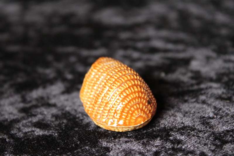 Wade Hedgehog Figurine