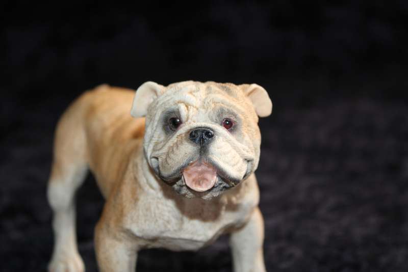 Resin Bulldog Figurine - Castagna - 1990