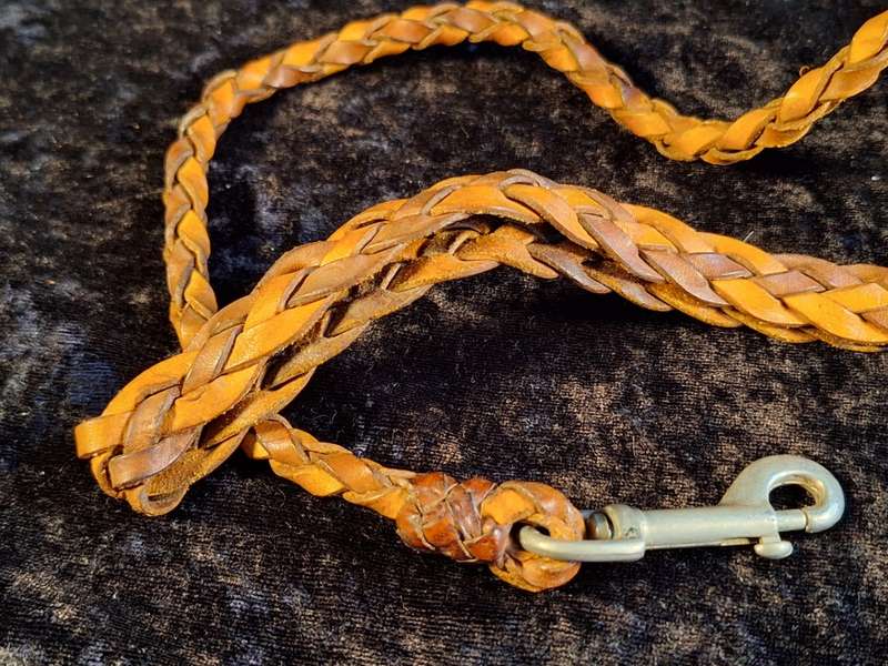 Braided Leather Dog Leash
