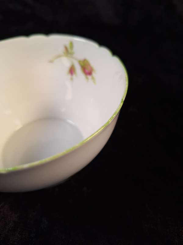 Stunning Shelley - English Rose 13632 Open Sugar Bowl.