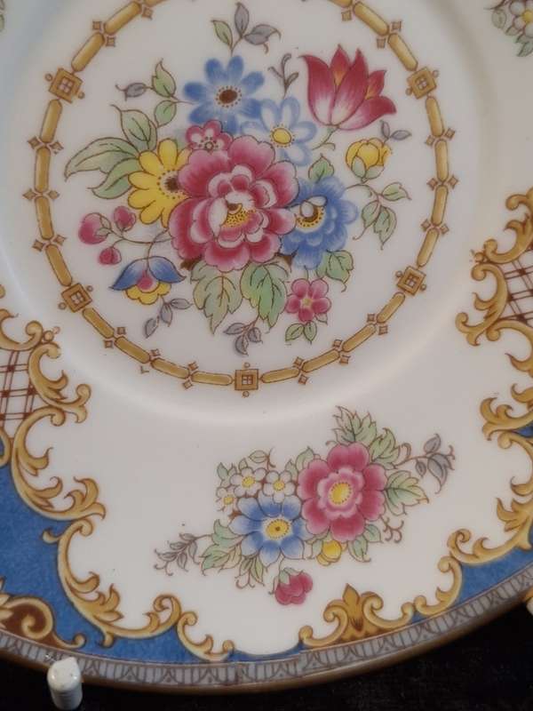 Shelley - Sheraton Coffee Saucer - 13291 - B.