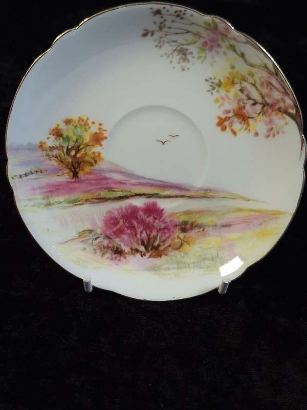 Shelley - Old Ireland Coffee Saucer - 13657.