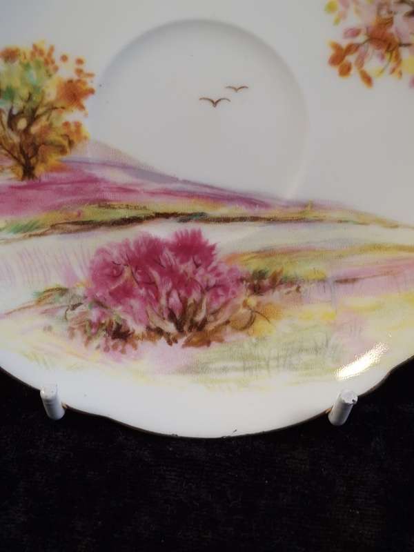 Shelley - Old Ireland Coffee Saucer - 13657.