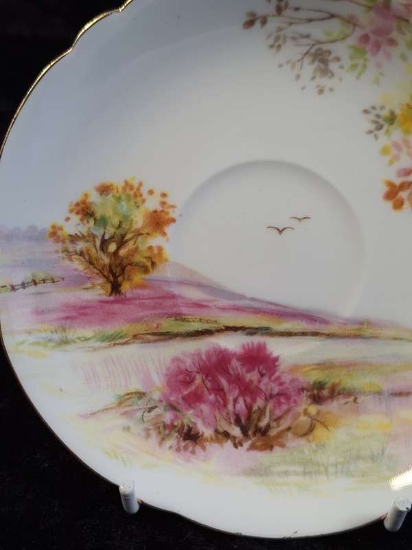Shelley - Old Ireland Coffee Saucer - 13657.