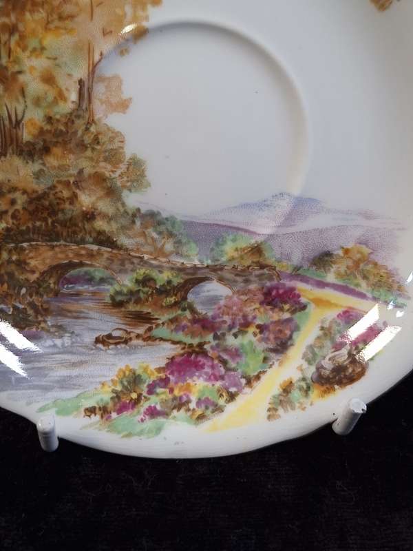 Shelley - Heather Coffee Saucer - 0187 - A.